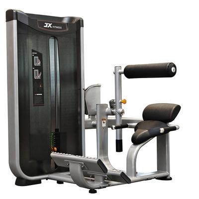 Machine d'extension de dos J300-08